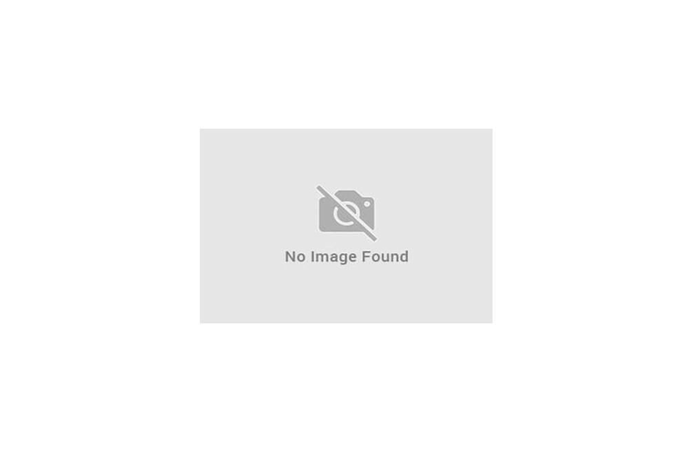 Cable UTP CMR Cat 6 Gris